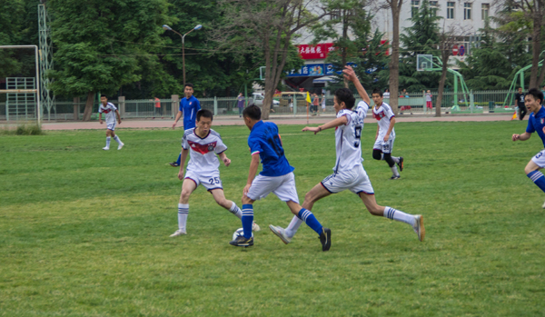 的绿茵场上 的绿茵场上