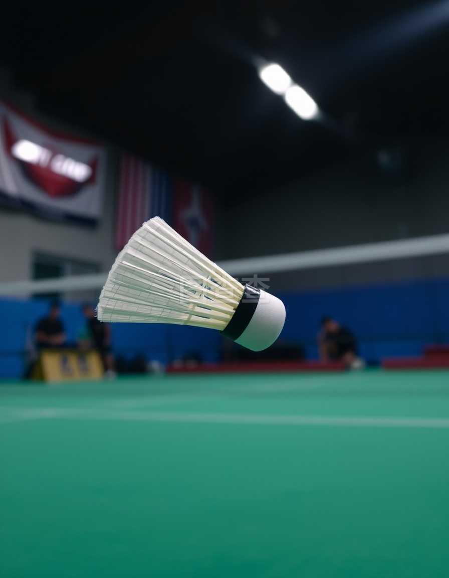 队内的训练 队内的训练